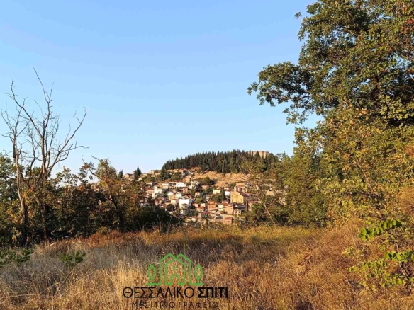 Πωλείται οικόπεδο 1600 τ.μ στο Φανάρι με μοναδική θέα